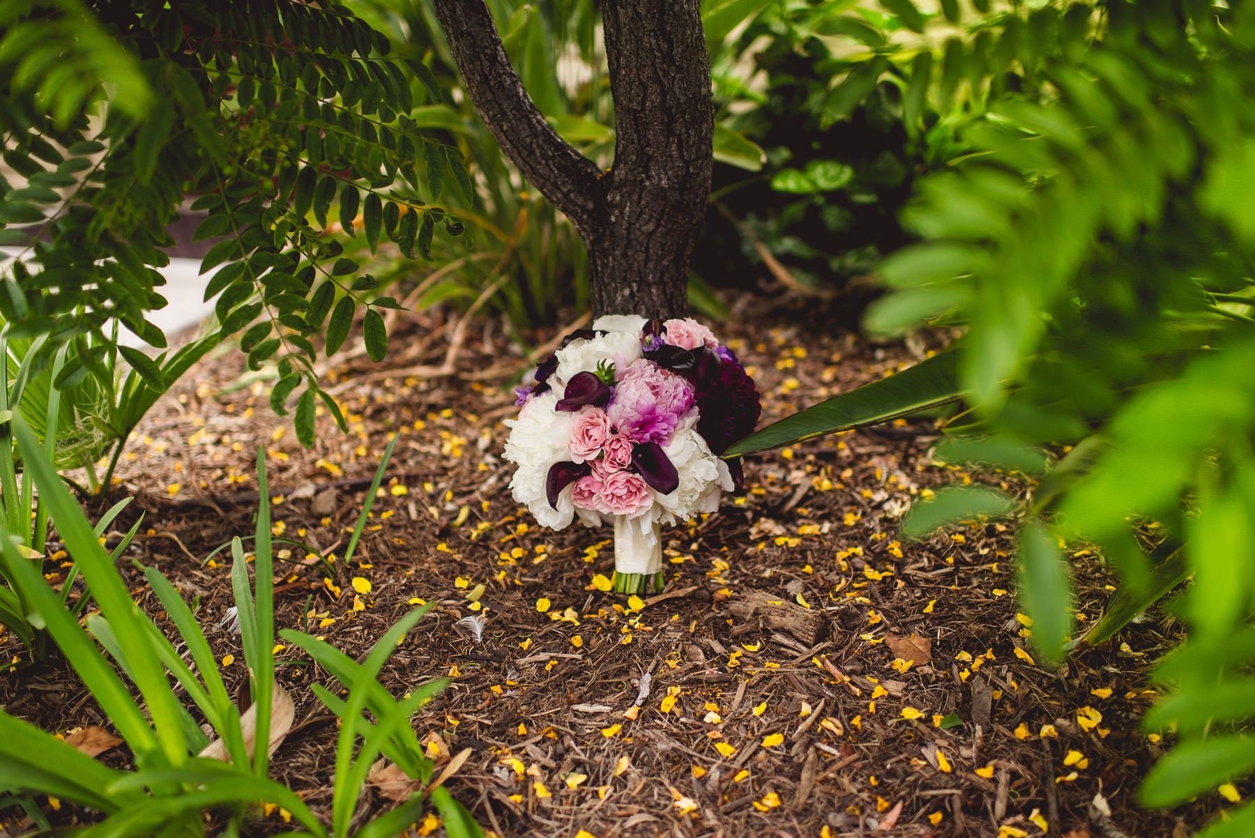 Cara & Patrick (7 of 108).jpg