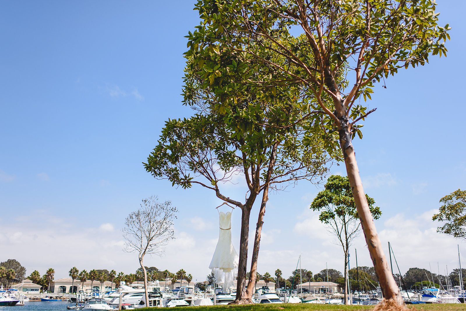 dana-mission-bay-wedding-photos
