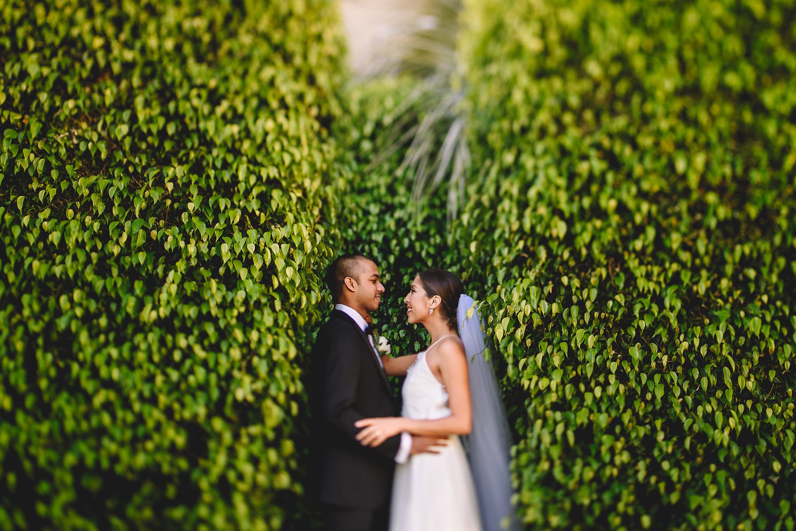 La Jolla Indian Wedding