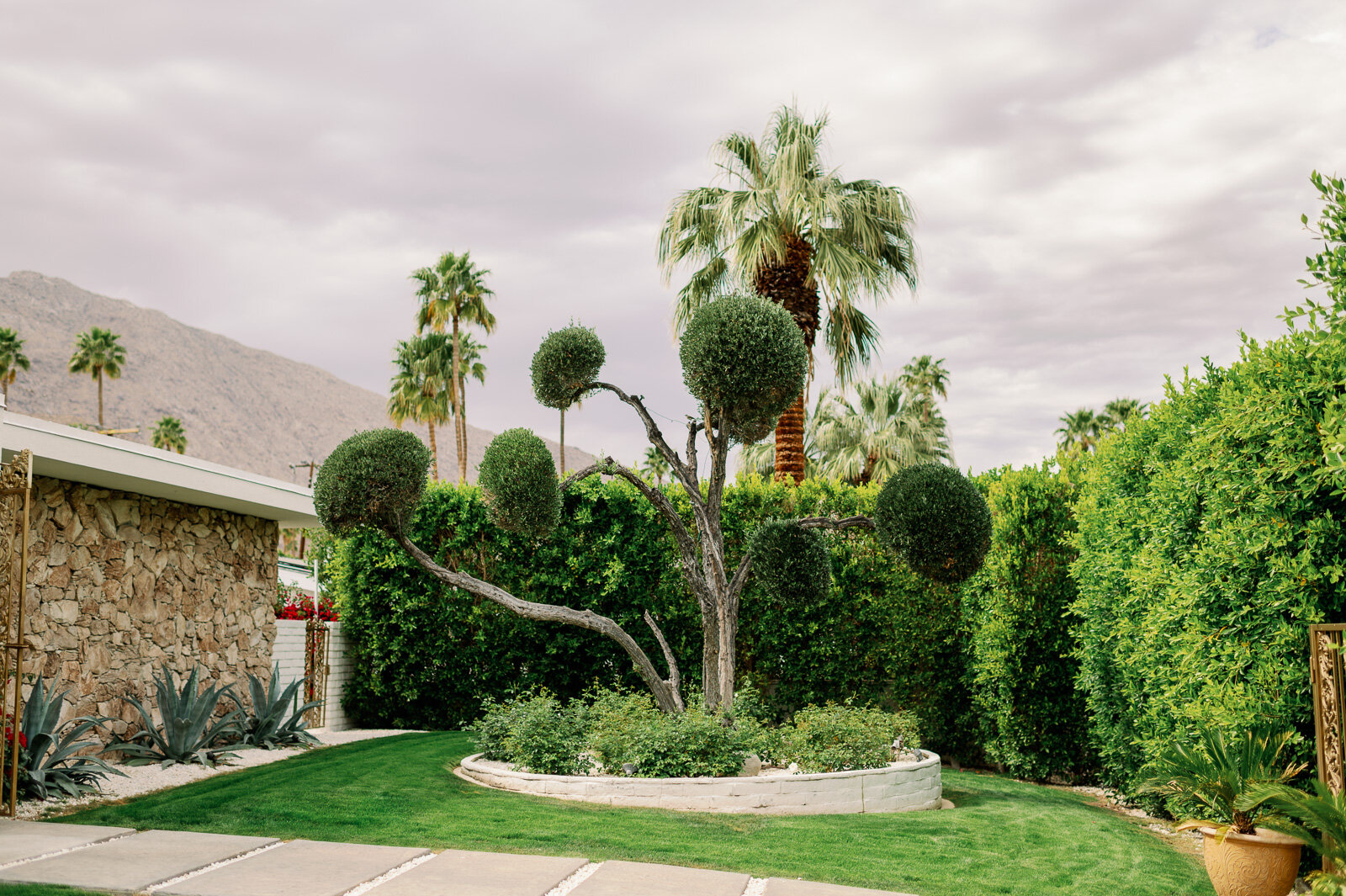 San Diego Wedding Photographer