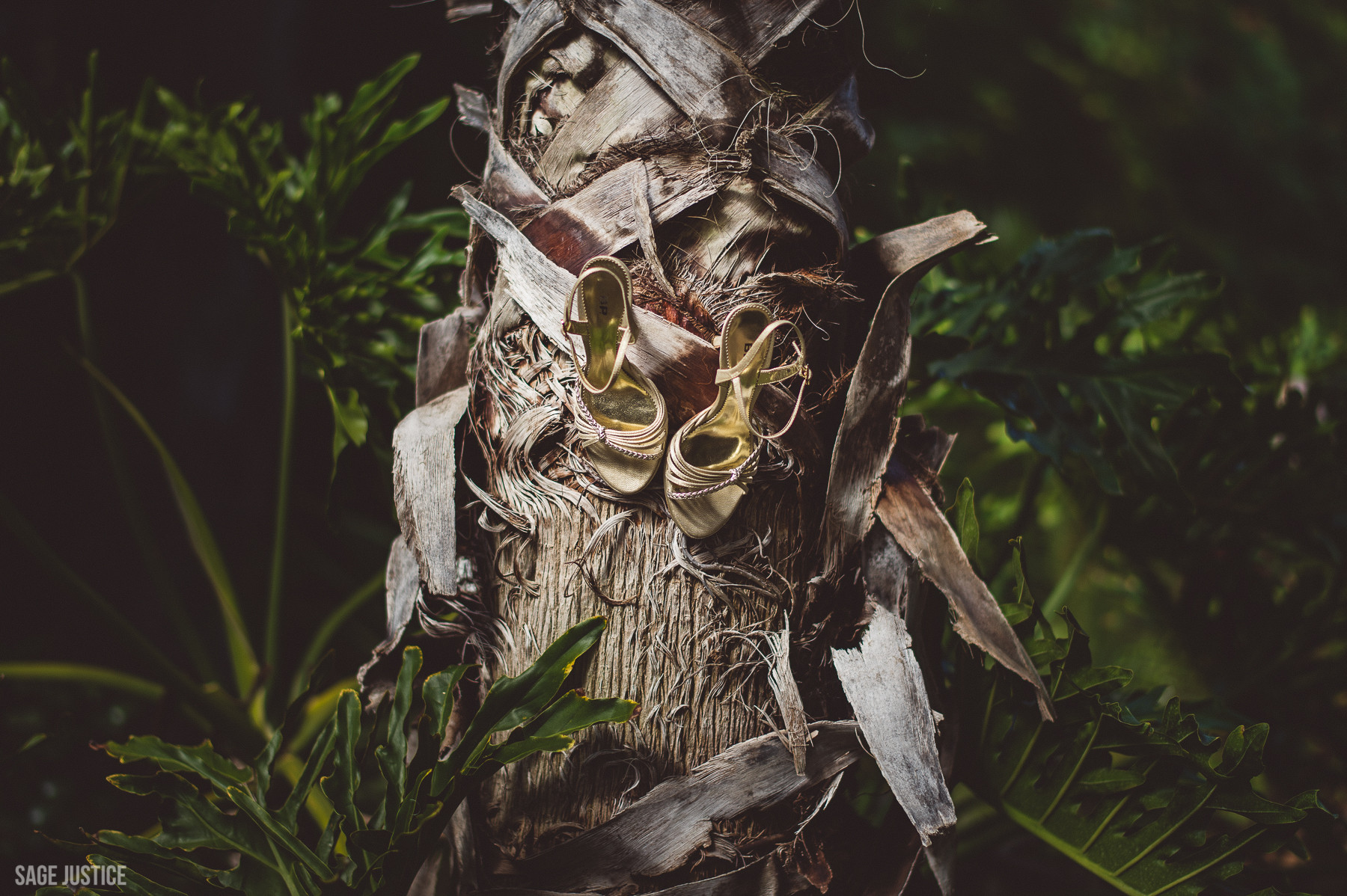 dinh & tom (1 of 1)-5.jpg