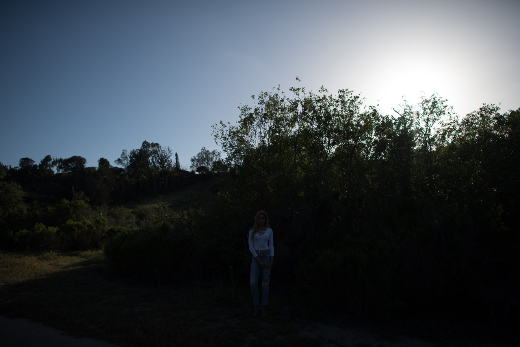 d5 dynamic range base iso