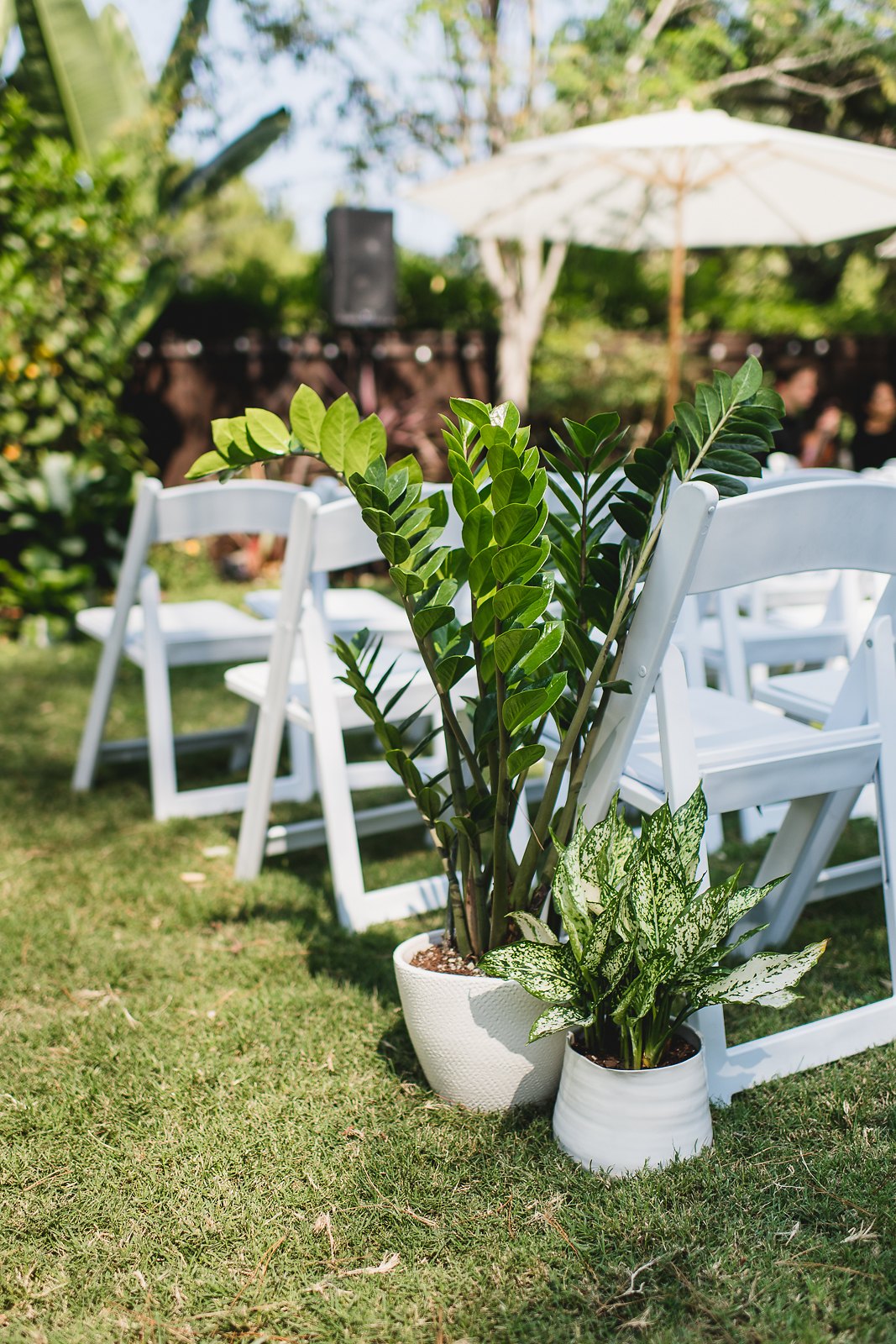del-mar-backyard-wedding