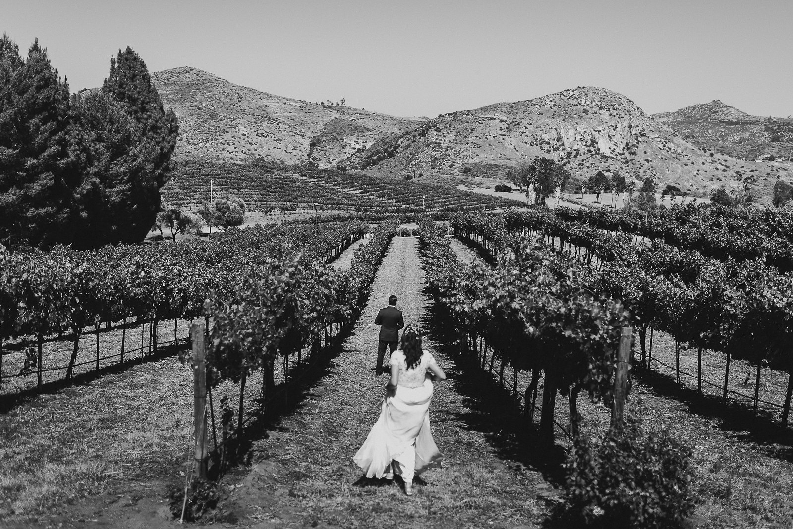orfila-winery-wedding-photos-t-n-36.jpg