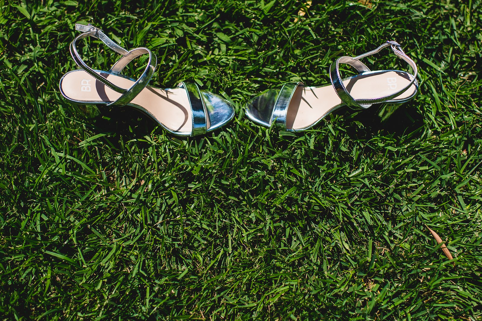 del-mar-backyard-wedding