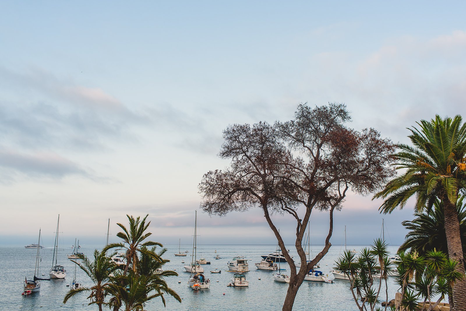 Descanso Beach Club Wedding Photos