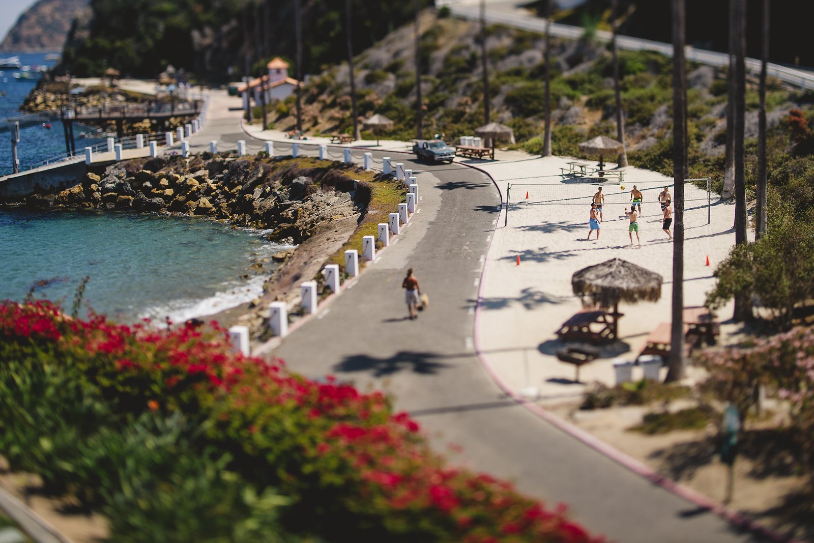 Descanso Beach Club Wedding Photos