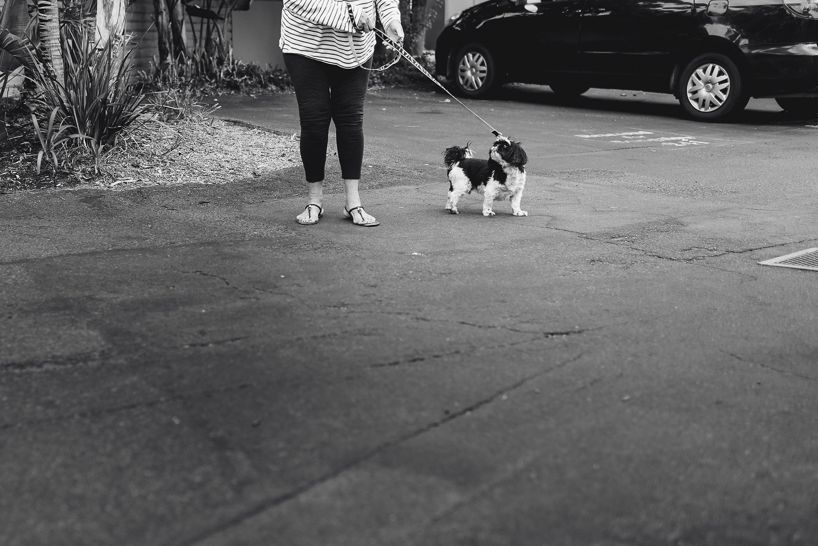 Cara & Pat-13.jpg