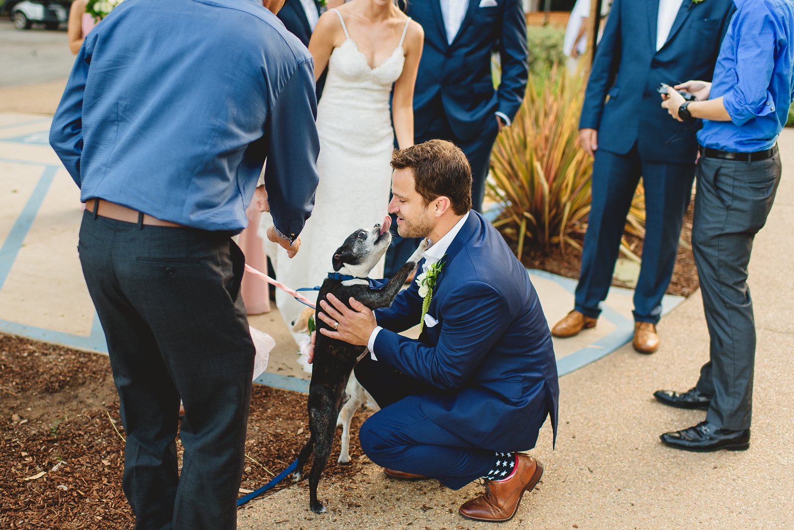Descanso Beach Club Wedding Photos