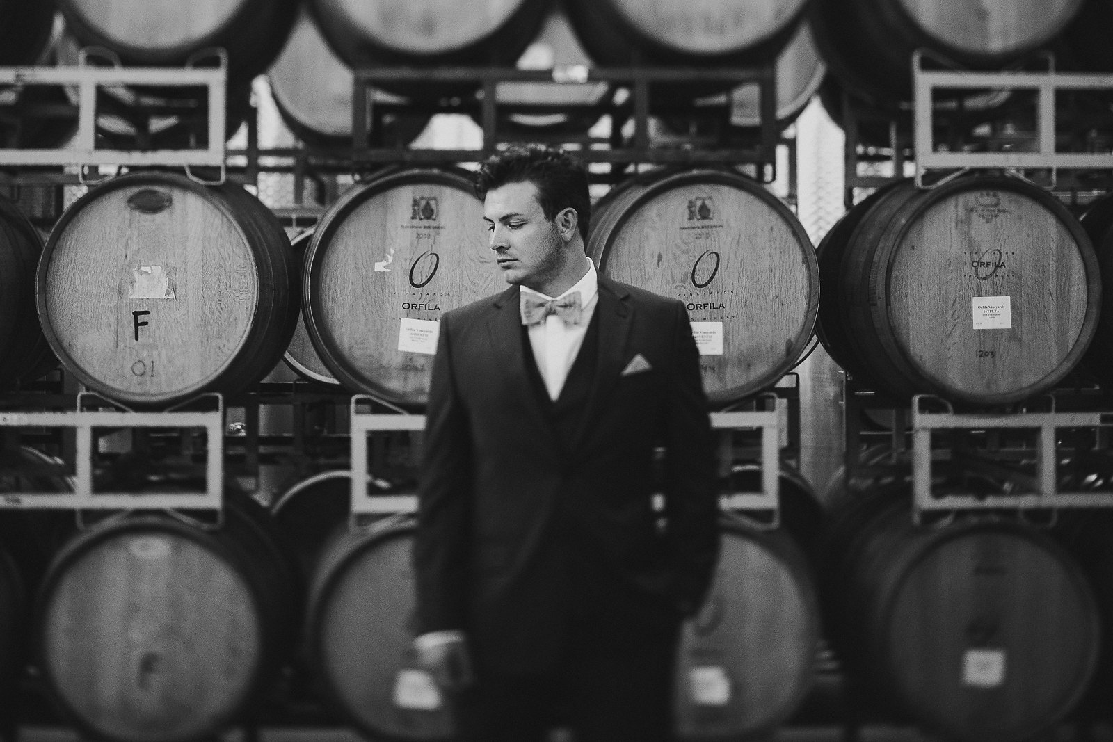 orfila-winery-groom-portrait