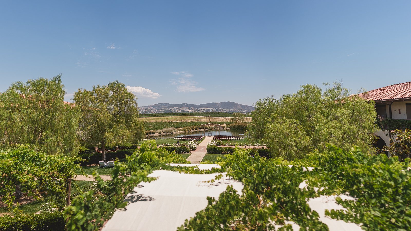 Ponte-winery-wedding-photographer