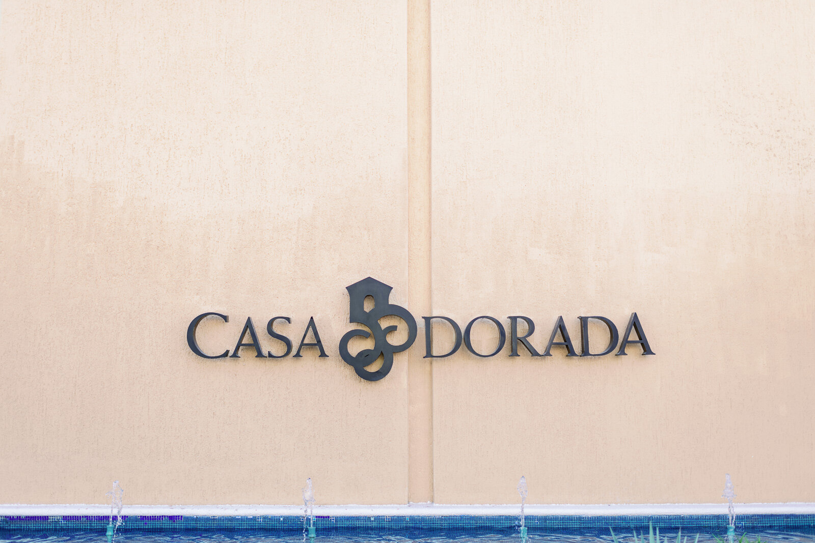cabo-wedding-photographer-1.jpg